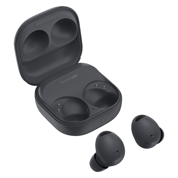 Galaxy Buds2 Pro Gray
                                    image number 1